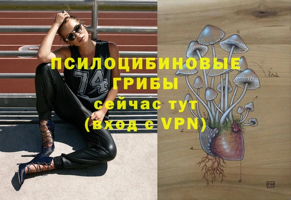 дурь Володарск